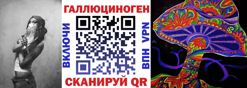 mega онион  Канаш  Галлюциногенные грибы Psilocybine cubensis 