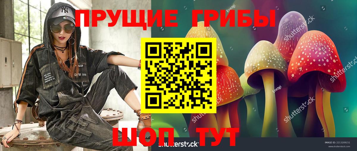 Галлюциногенные грибы Psilocybe  Галлюциногенные грибы MAGIC MUSHROOMS  Вход с VPN  цены   Канаш 