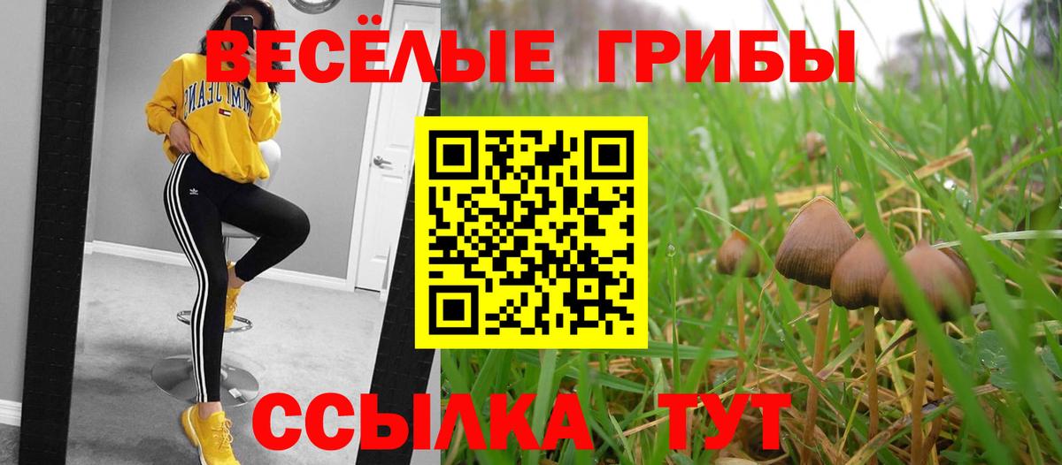 Галлюциногенные грибы Magic Shrooms Канаш